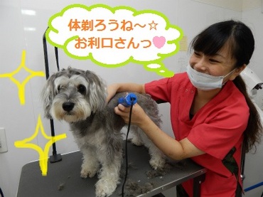 DSCN1040.jpg