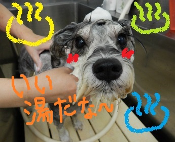 DSCN1041.jpg