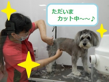 DSCN1042.jpg