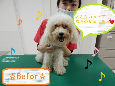 DSCN1099.jpg