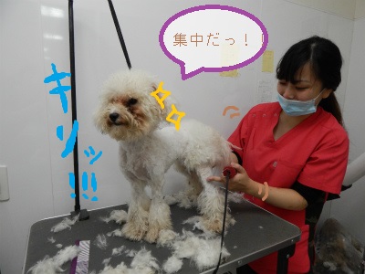 DSCN1103.jpg