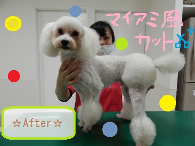 DSCN1109.jpg