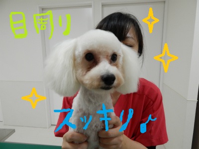 DSCN1115.jpg