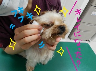 DSCN1135.jpg
