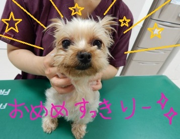 DSCN1141.jpg