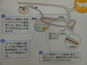 DSCN1226.jpgのサムネール画像