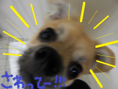 DSCN1403.jpg