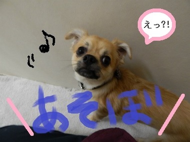 DSCN1408.jpg