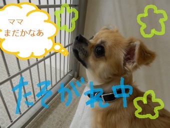 DSCN1410.jpg