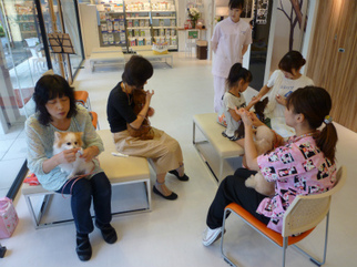 P1090545.jpg