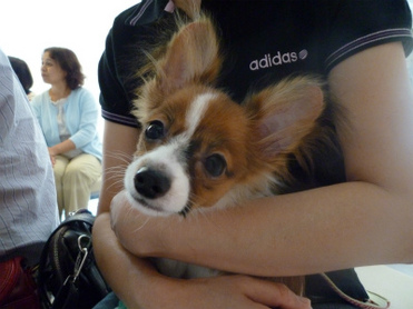 P1090821.jpg