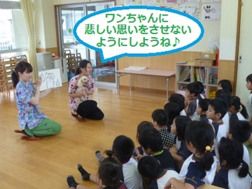 P1180541.jpg
