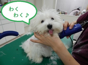 DSCN1186.jpg
