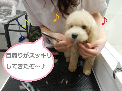 DSCN1190.jpg
