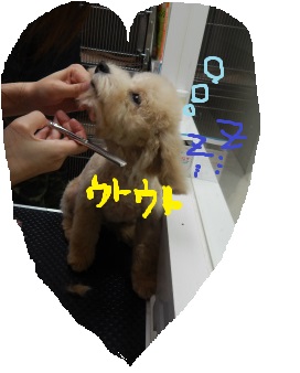 DSCN1194.jpg