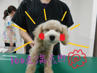 DSCN1220.jpg