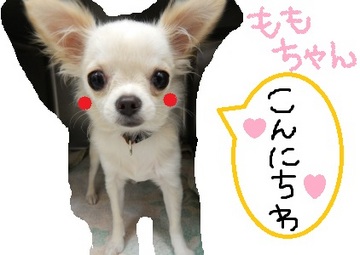 DSCN1421.jpg