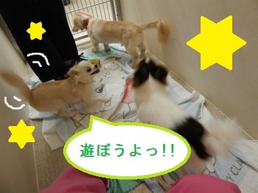 DSCN1436.jpg