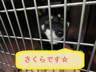 DSCN1470.jpg