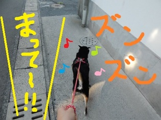 DSCN1475.jpg