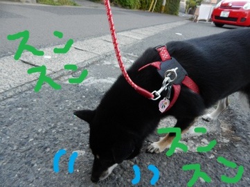 DSCN1477.jpg