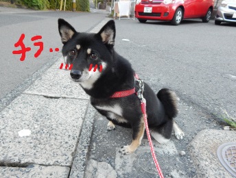 DSCN1479.jpg
