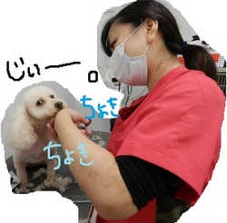 DSCN1565.jpg