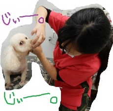 DSCN1566.jpg