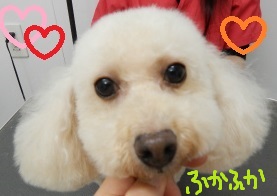 DSCN1569.jpg