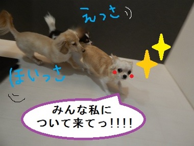 DSCN1576.jpg