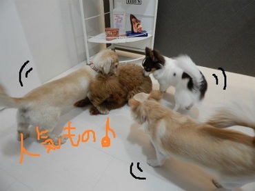 DSCN1588.jpg