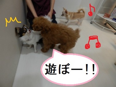 DSCN1619.jpg