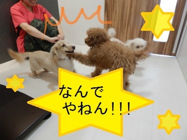 DSCN1639.jpg