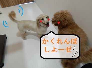 DSCN1647.jpg