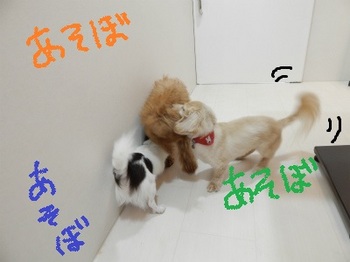 DSCN1665.jpg