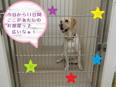 DSCN1680.jpg