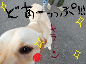 DSCN1690.jpg