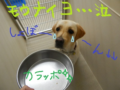 DSCN1741.jpg
