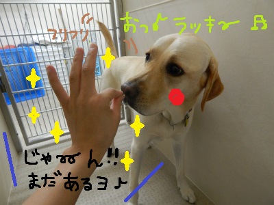 DSCN1742.jpg