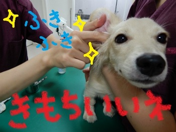 DSCN2212.jpg