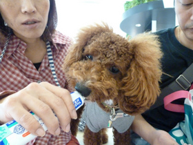 P1100447.jpg