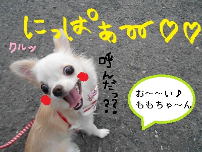 DSCN0054.jpg