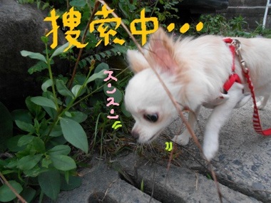 DSCN0060.jpg
