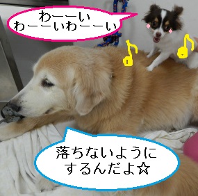 DSCN0689.jpg