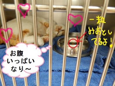 DSCN1168.jpg