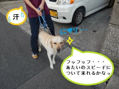 DSCN2130.jpg