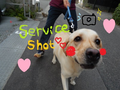 DSCN2133.jpg