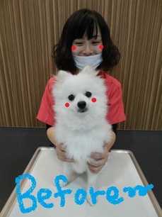 DSCN2284.jpg