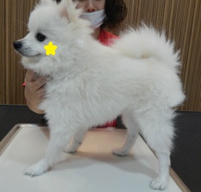 DSCN2285.jpg