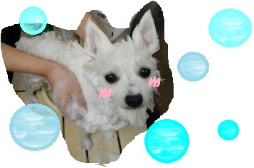DSCN2288.jpg